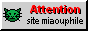 Site miaouphile
