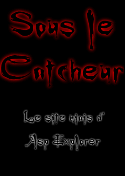 Sous le Catcheur - Le site niais d'Asp Explorer